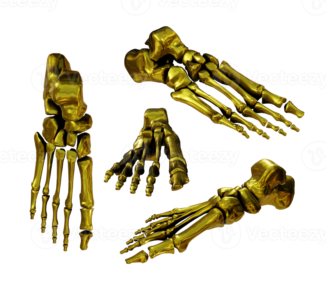 3d rendering of gold golden human foot bones perspective view png