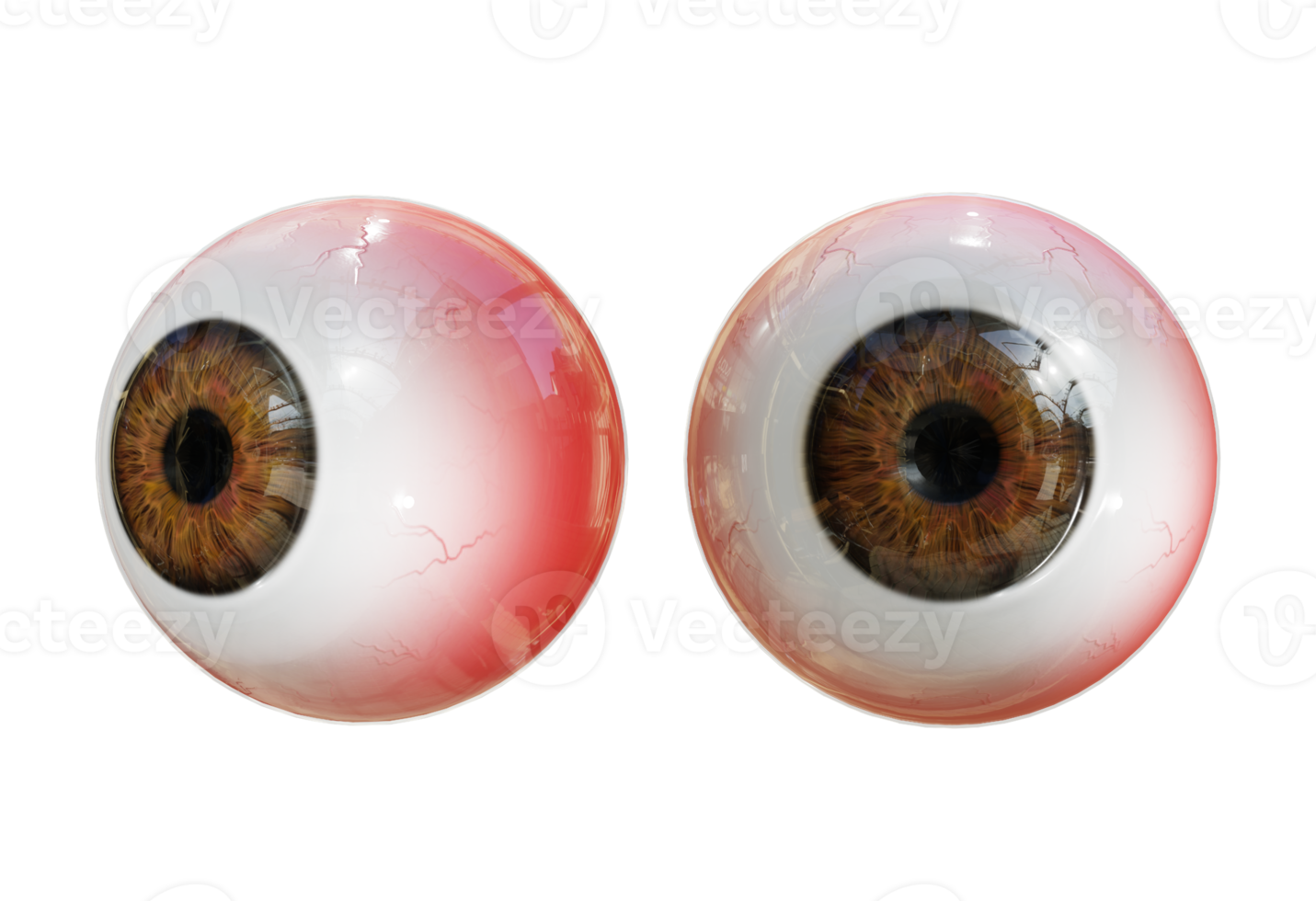 3d rendering human eye organs perspective view png