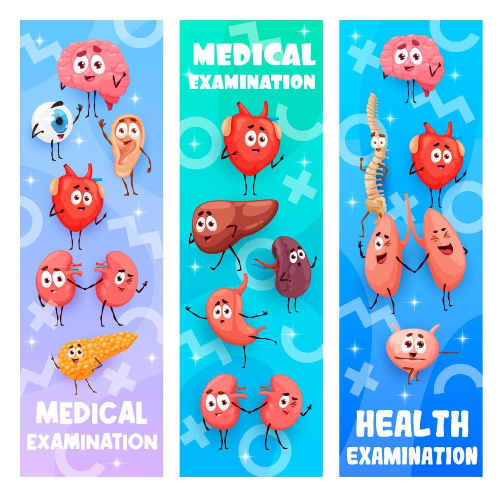 salud médico examen, dibujos animados humano órganos vector