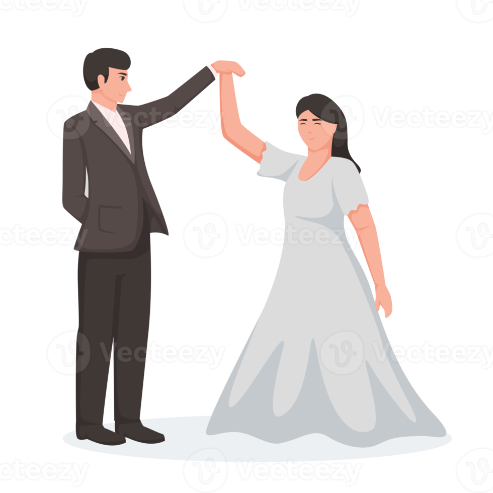 Bride and Groom. Couple wedding illustration png