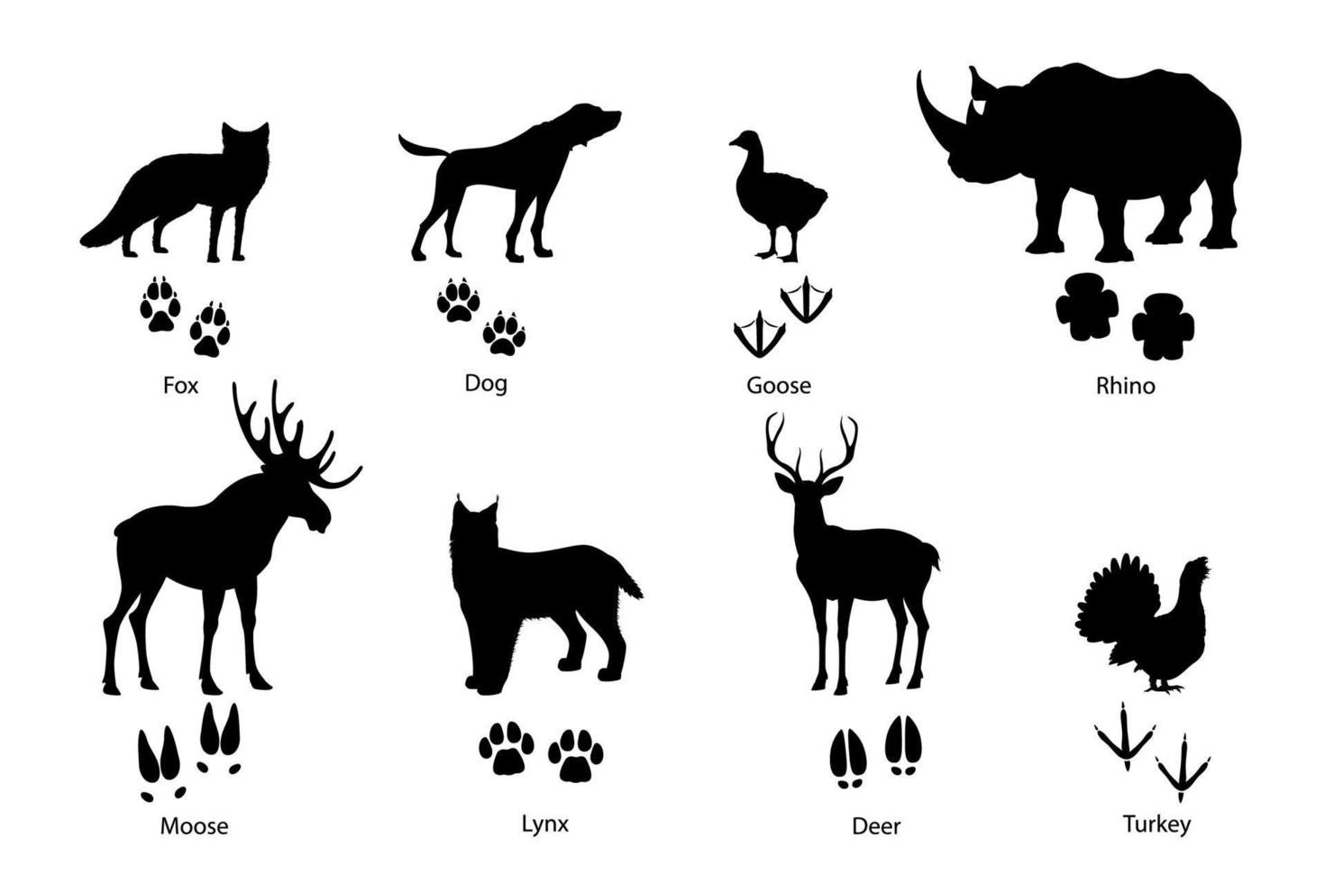 Animal footprints, silhouettes, wild fox, pet dog vector