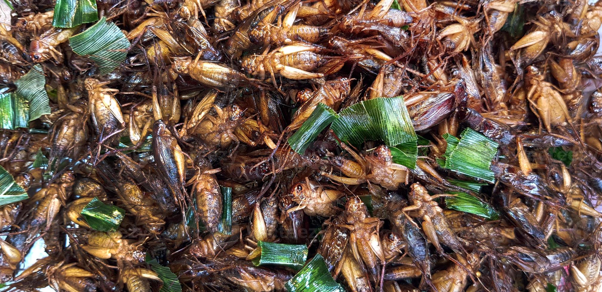 Many fried insect or cricket with sliced of banana leaves for sale at street food market. Asian food, Animal, Special menu and Pattern background.  Cicada grilled with salt or fish sauce. photo