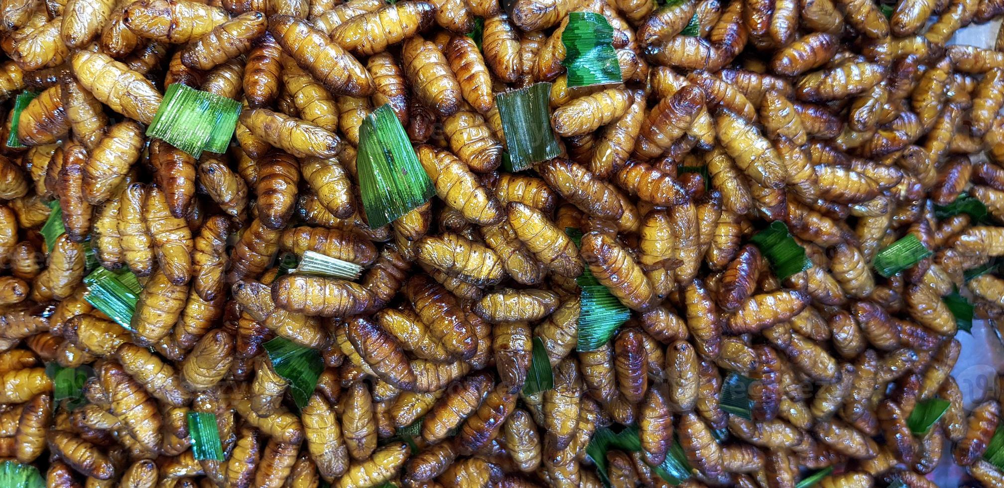 Many fried insect and worm with sliced of banana leaves for sale at street food market. Asian food, Animal, Special menu and Pattern background. High protein food. photo