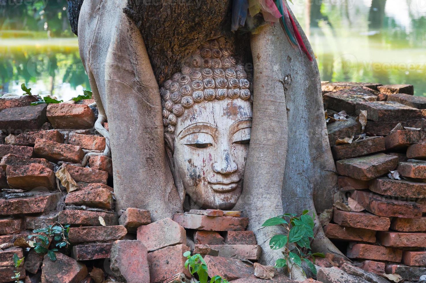 buddha head in banyan tree in archaeological site Northern Thailand,Tradition Thai Art photo