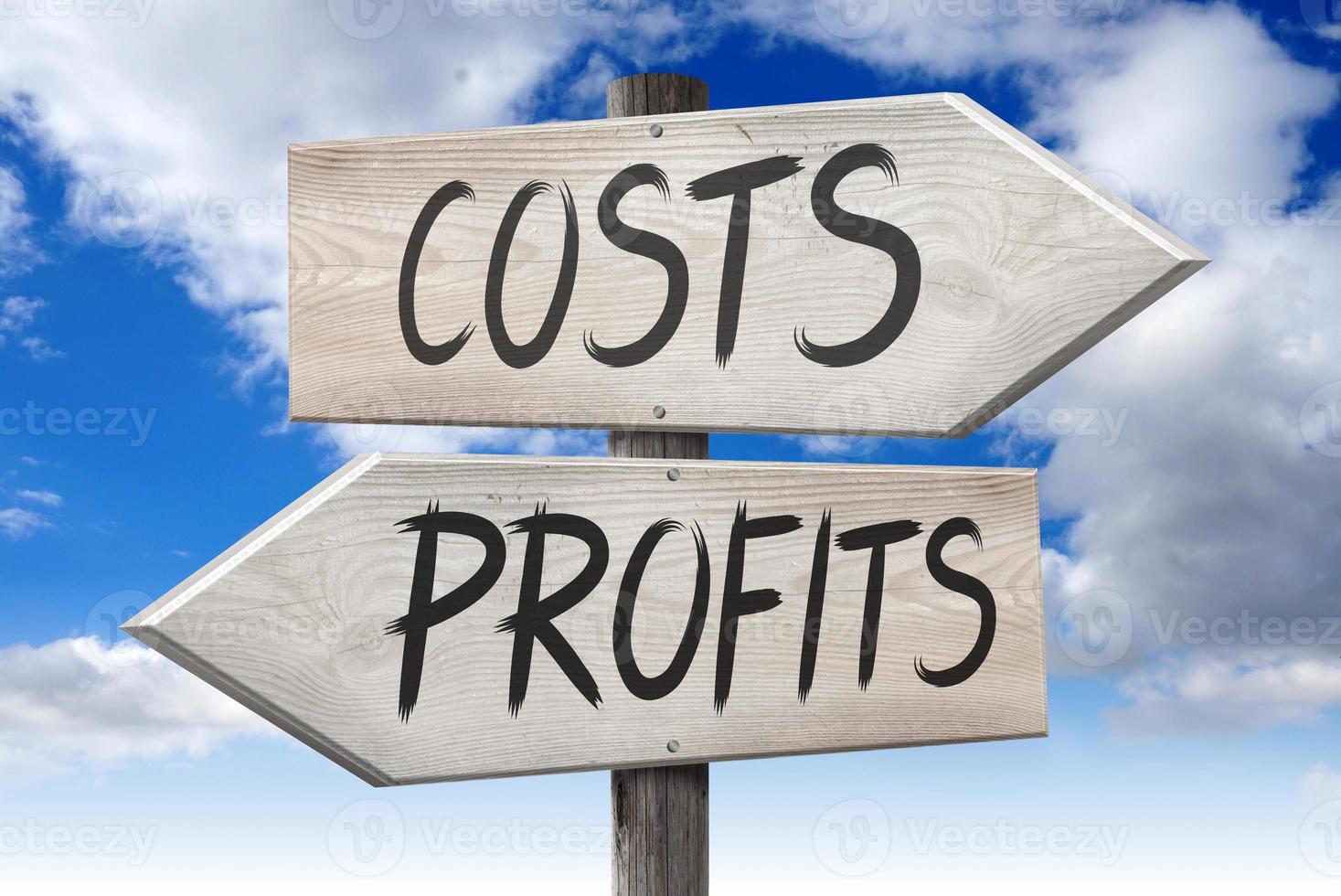 Profits, Costs - Wooden Signpost with Two Arrows and Cloudy Sky in Background photo
