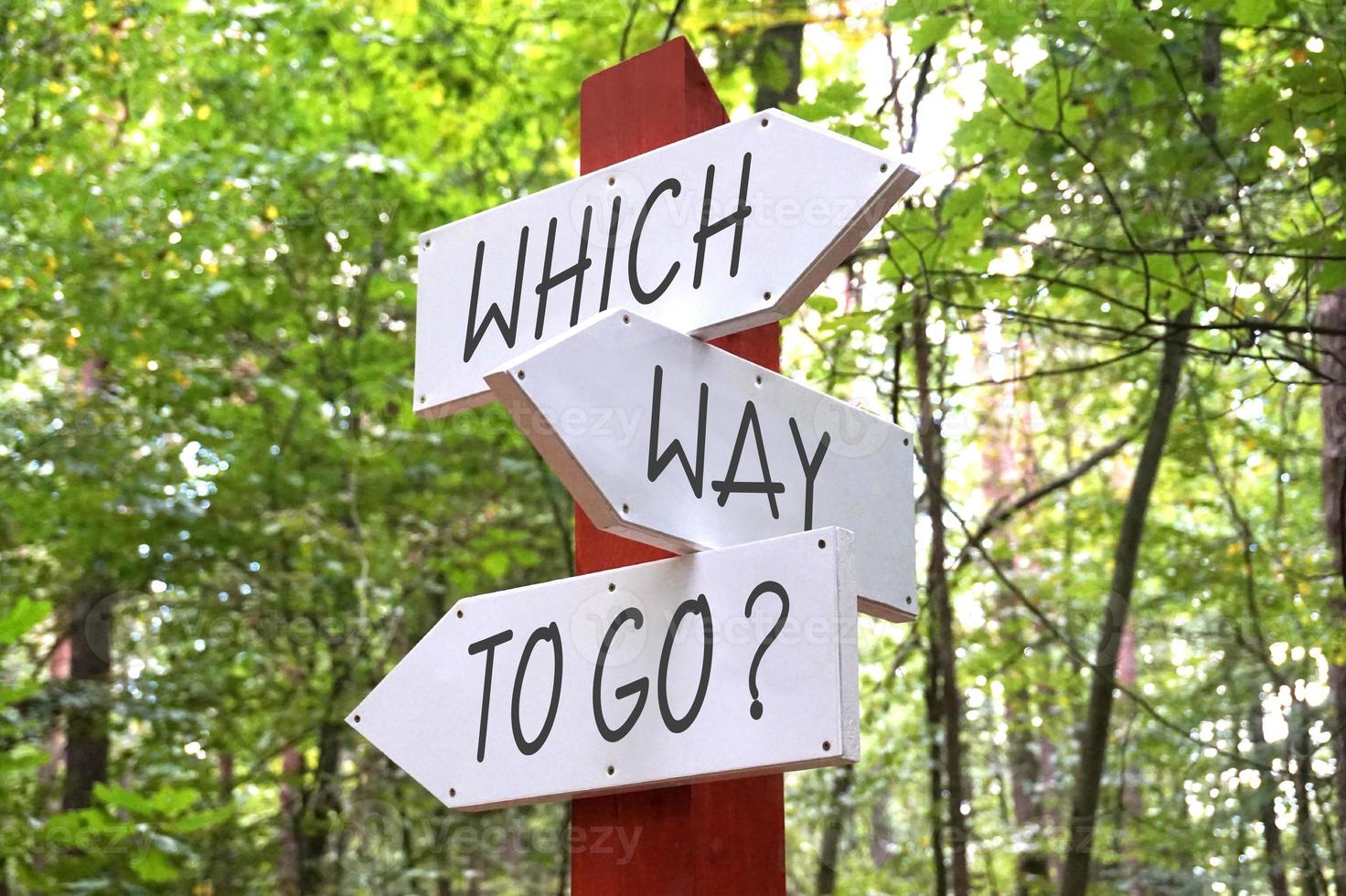 Which Way To Go - Wooden Signpost with Three Arrows, Forest in Background photo