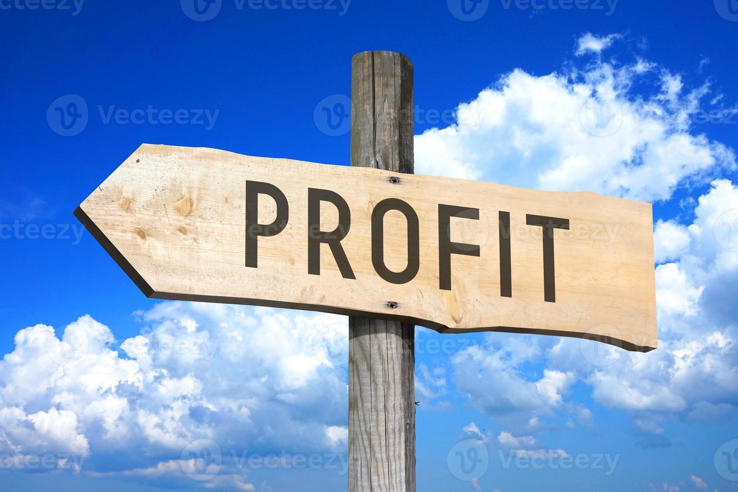 Profit - Wooden Signpost with one Arrow, Sky with Clouds in Background photo