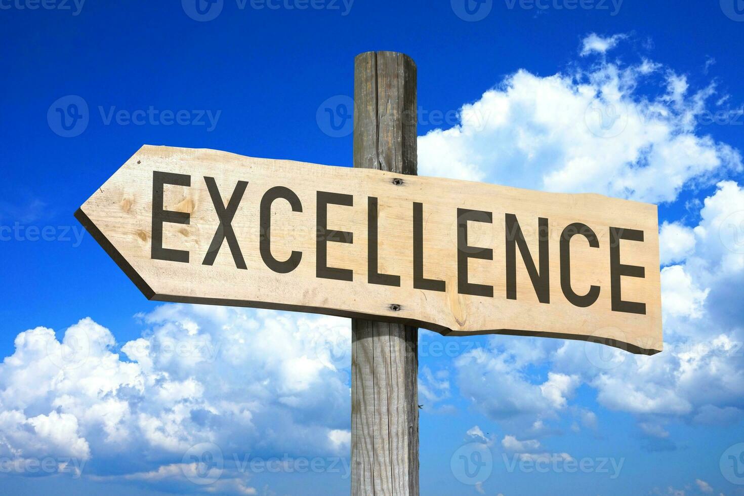 Excellence - Wooden Signpost with one Arrow, Sky with Clouds in Background photo