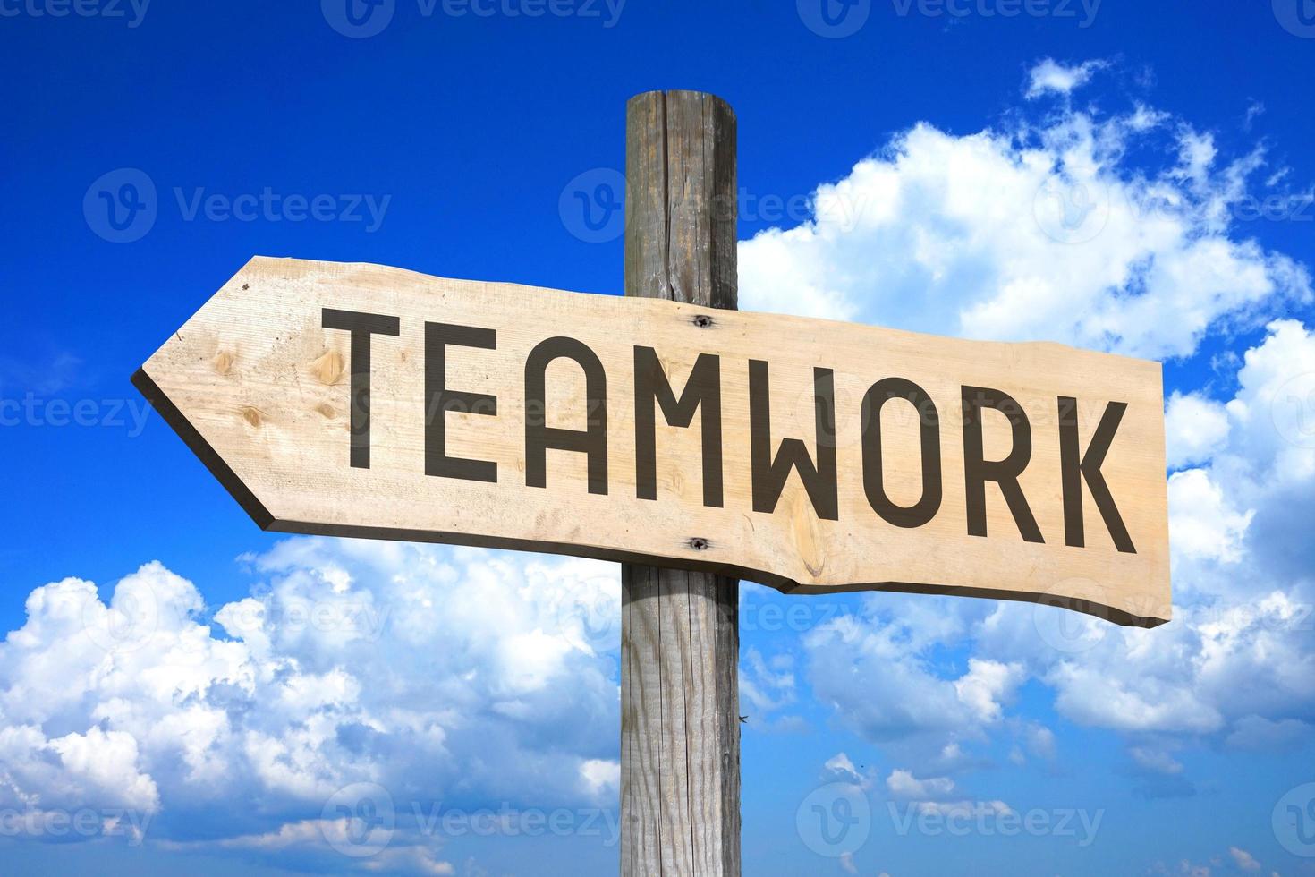 Teamwork - Wooden Signpost with one Arrow, Sky with Clouds in Background photo