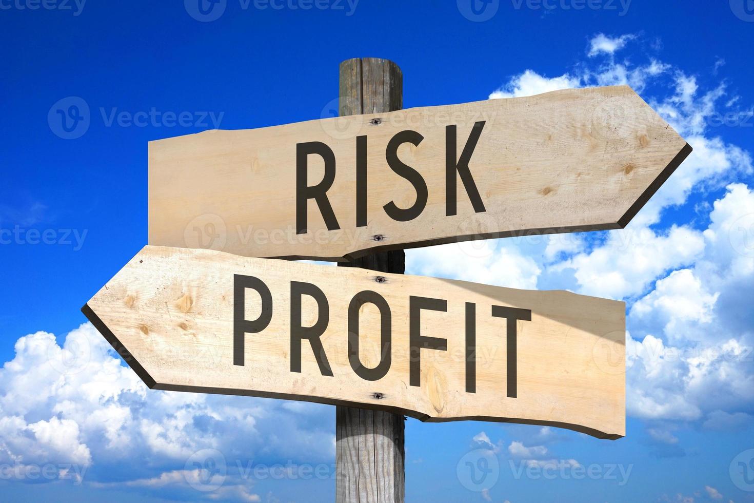 Risk, Profit - Wooden Signpost with Two Arrows, Sky with Clouds in Background photo