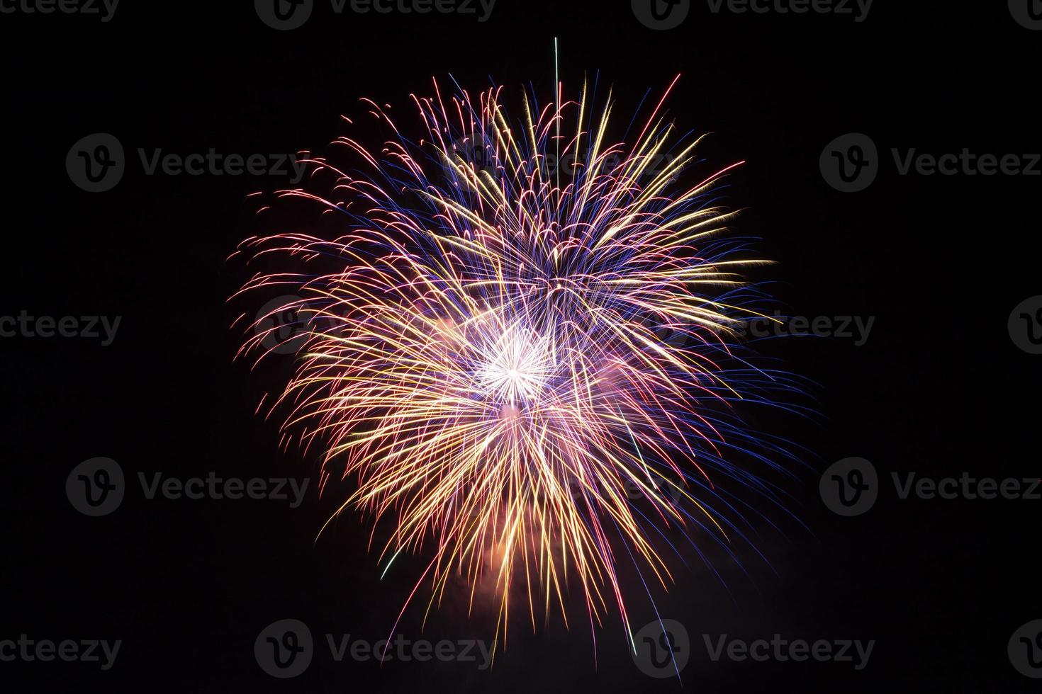 bright color fireworks in night sky photo