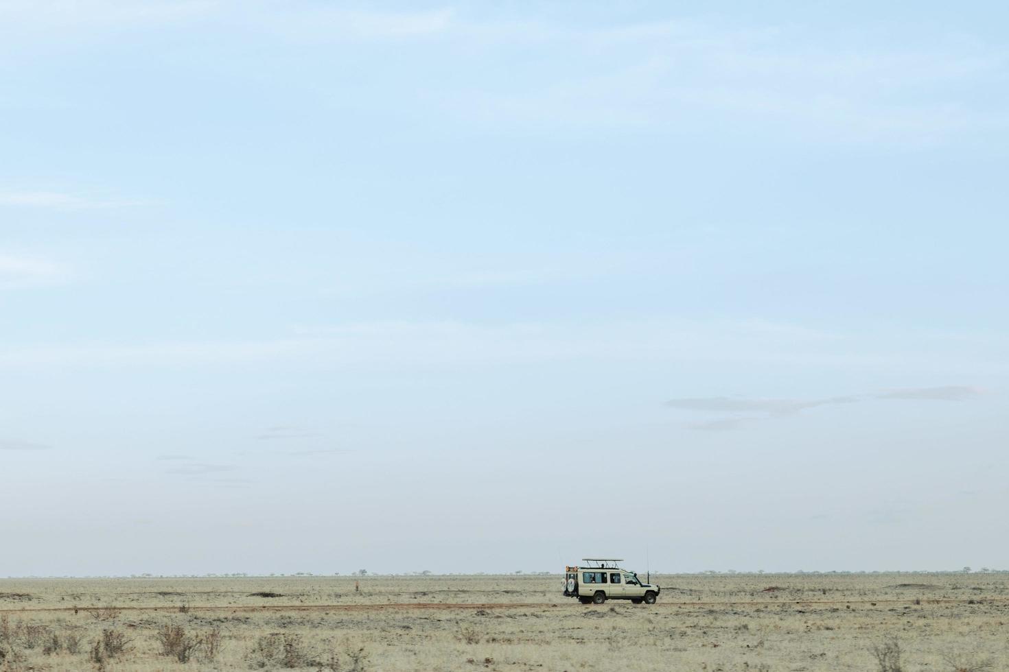 safari en áfrica foto