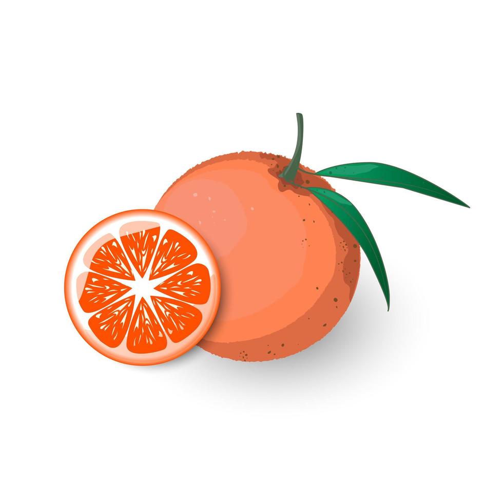 Tangerine with leaf and sliced tangerine. Icon of orange fruit in cartoon style isolated on white background.Design for print on fabric, wrapping paper, wallpaper, packaging. Vector illustration