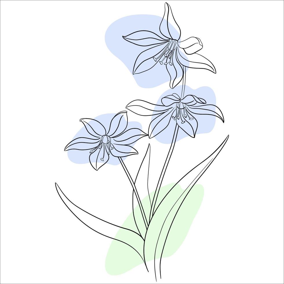 Line Drawn Spring Flowers. vector