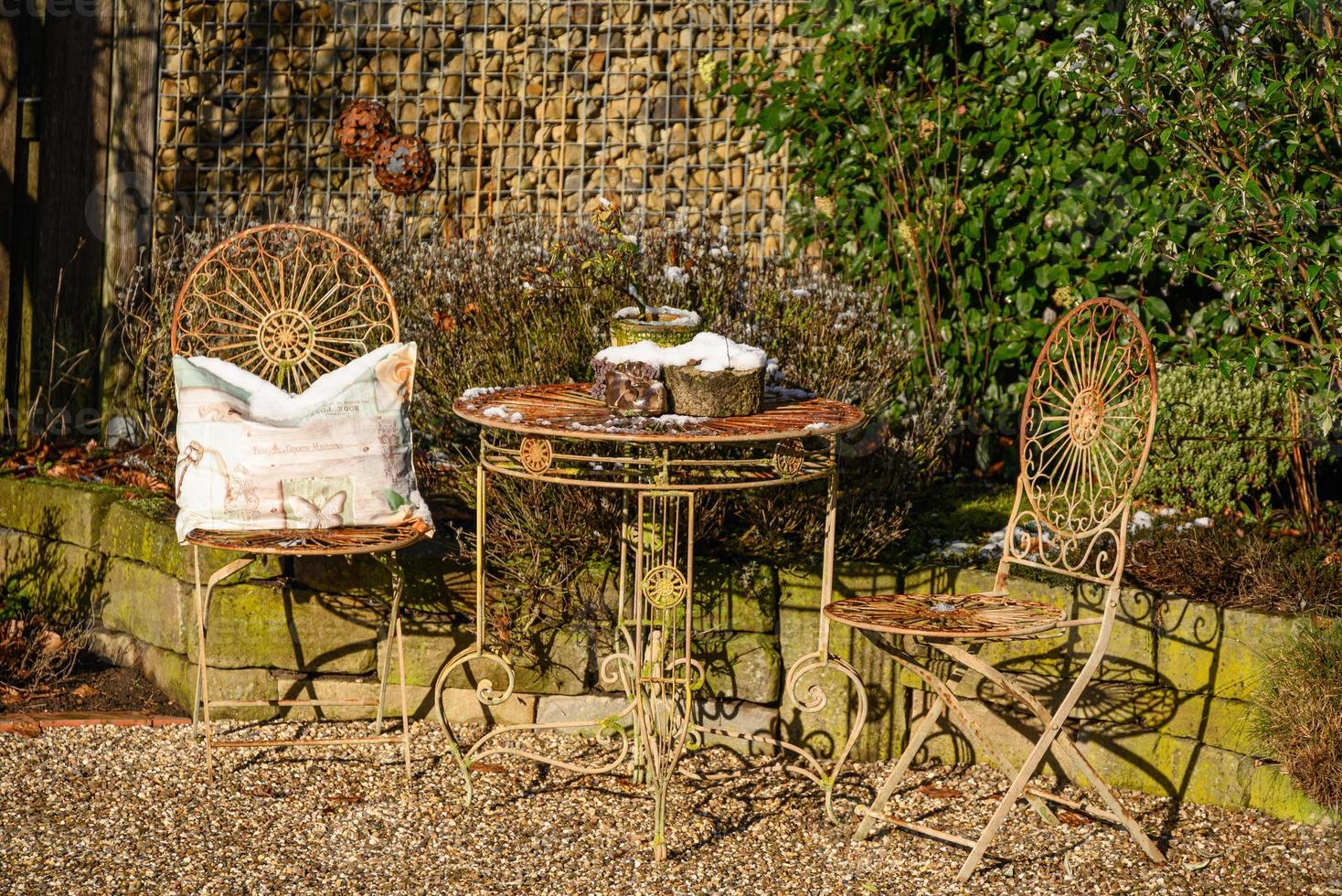 winter time in the garden photo
