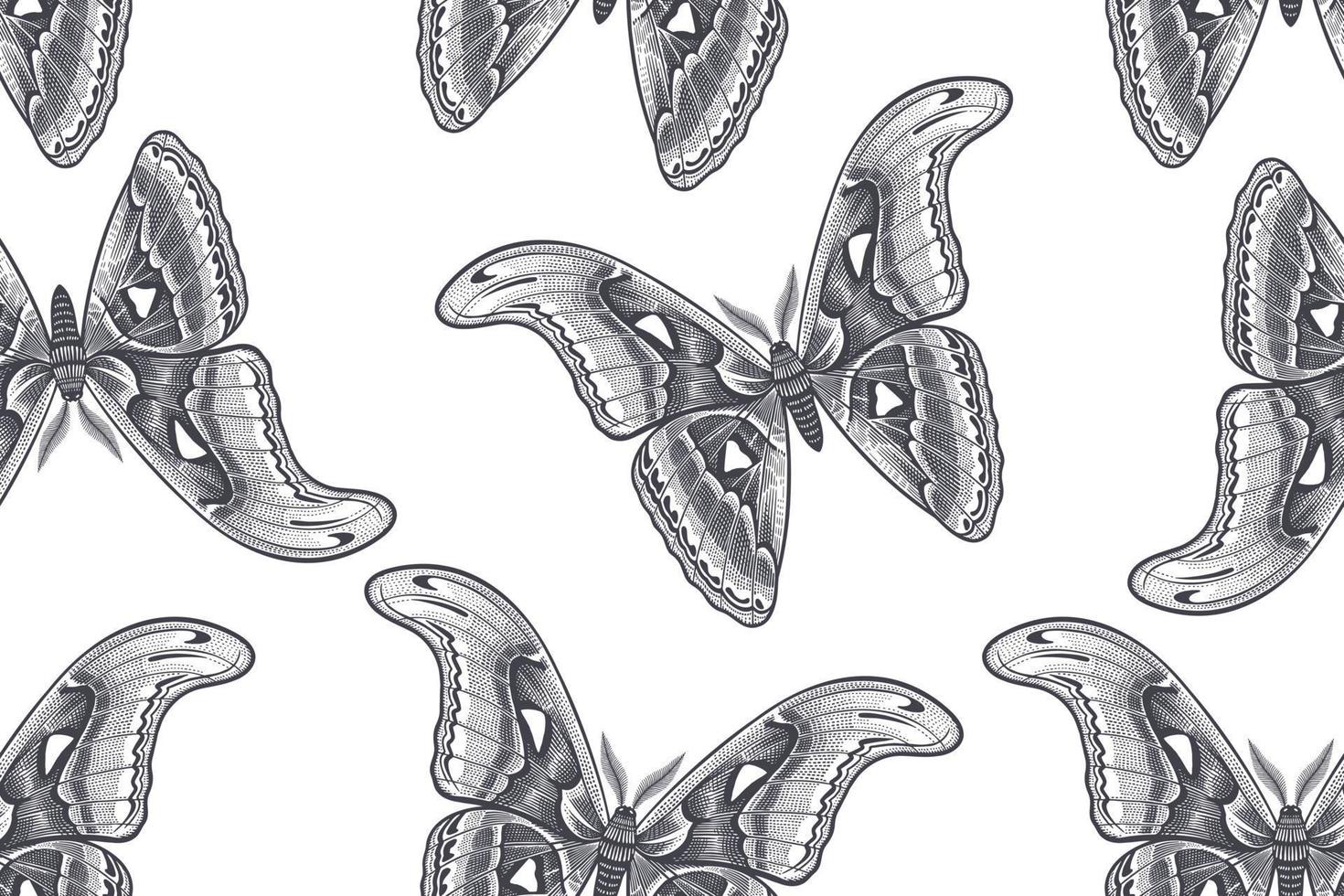 Black and white night butterflies. Seamless pattern. vector