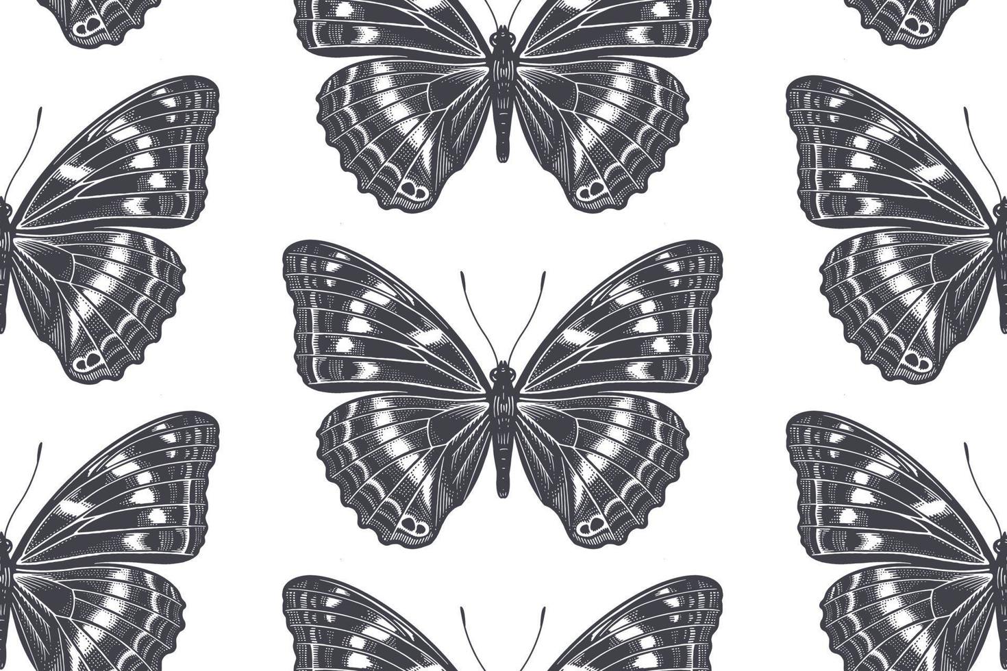 Black and white tropic butterflies. Seamless pattern. vector