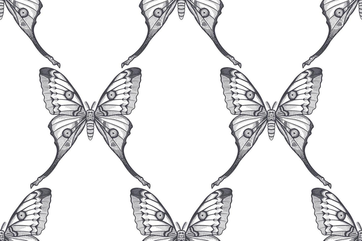 Black and white night butterflies. Seamless pattern. vector