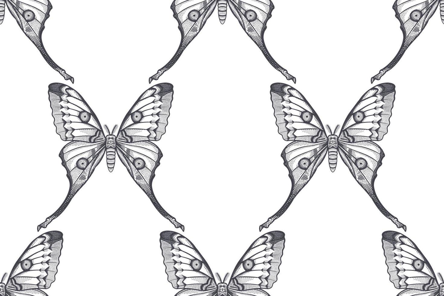 Black and white night butterflies. Seamless pattern. vector