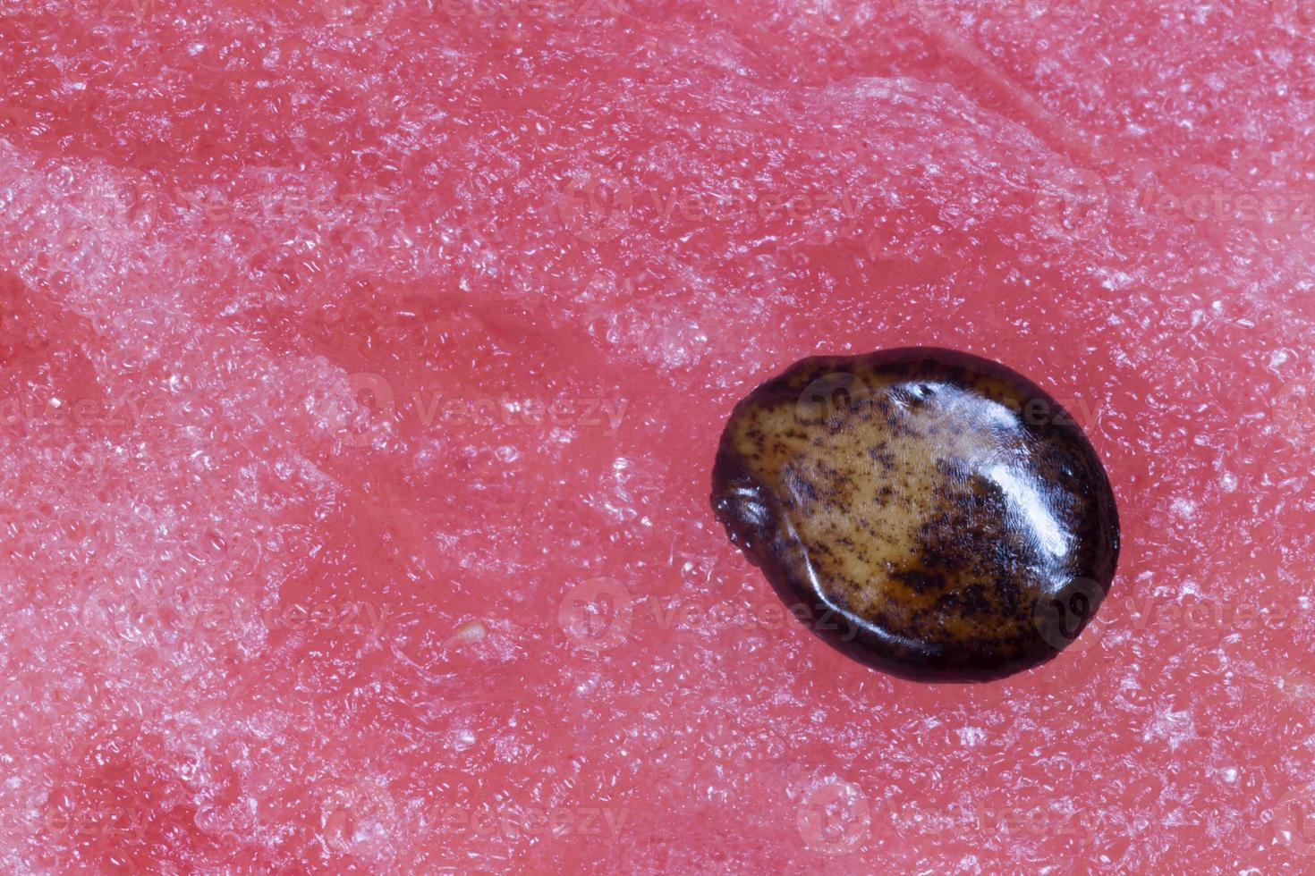 seed on pulp of ripe red watermelon photo