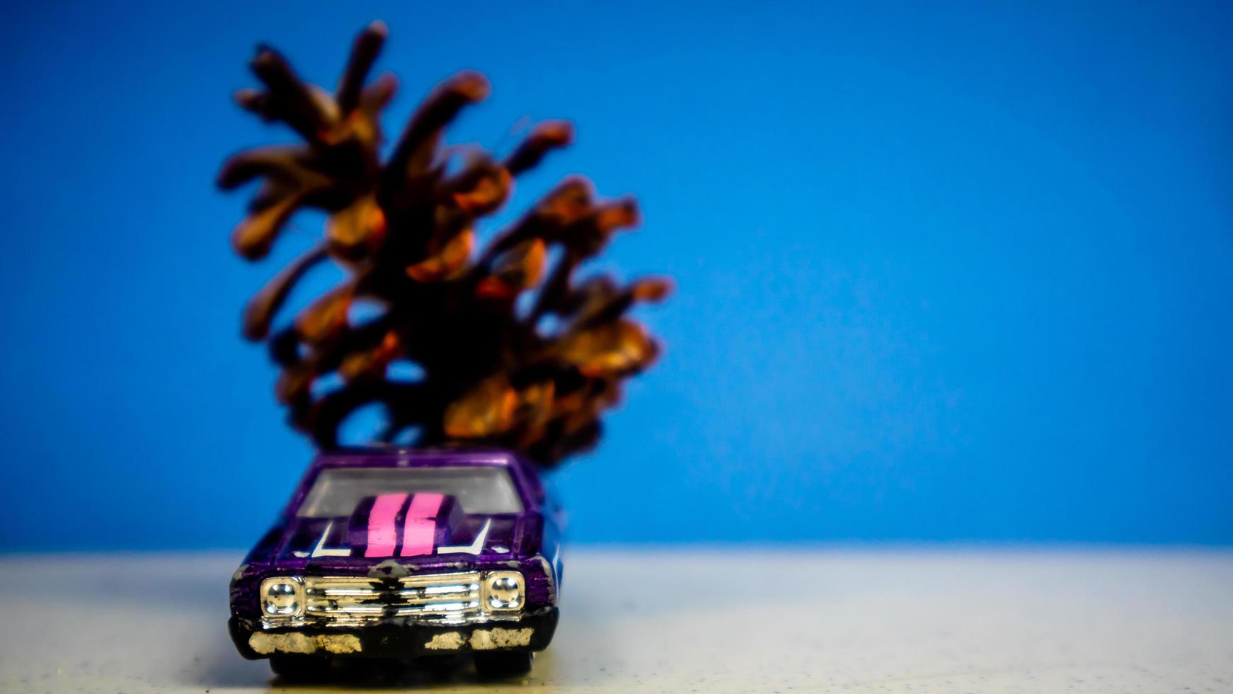 Minahasa, Indonesia  December 2022, the toy car transporting pinecones photo