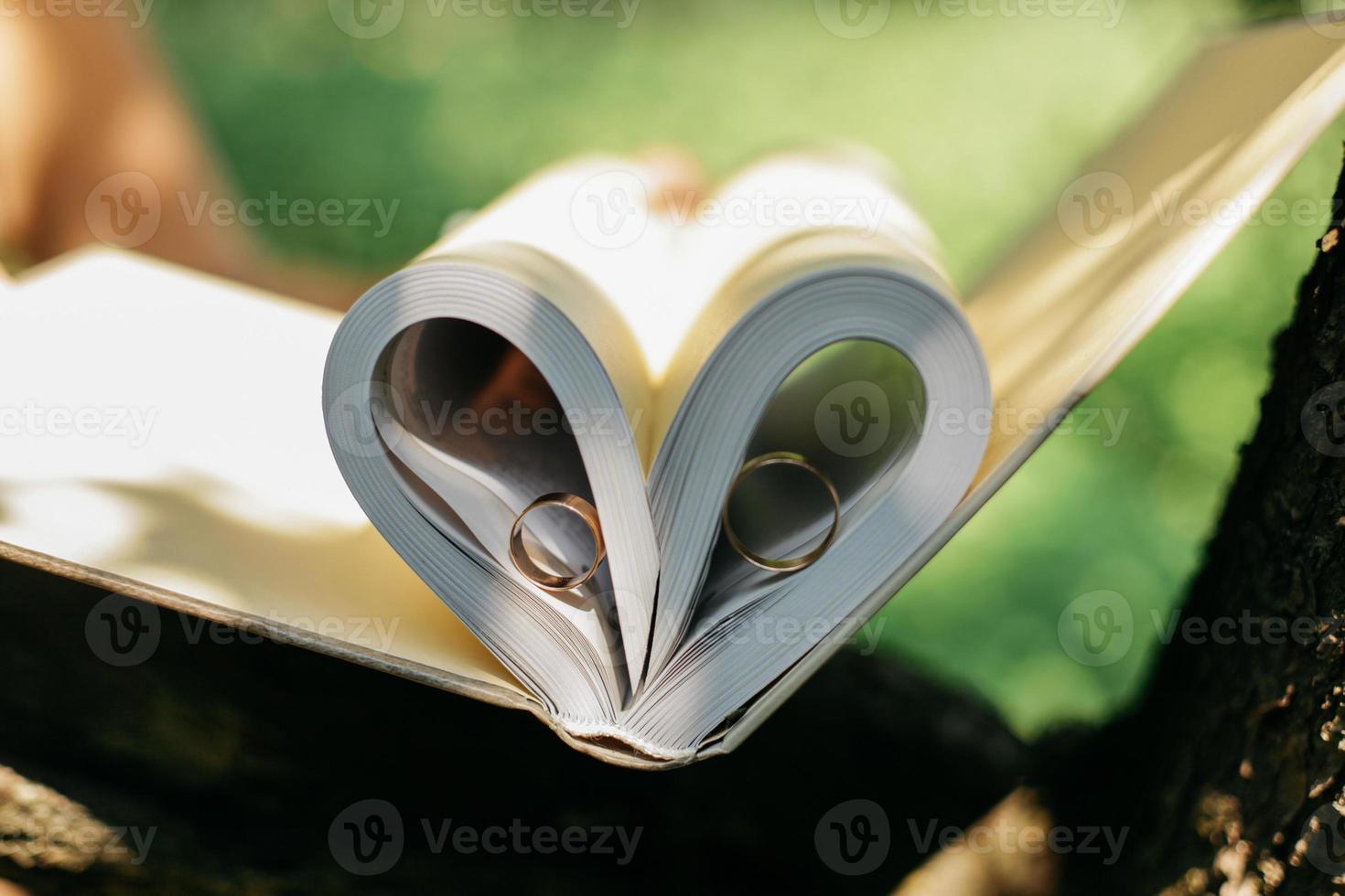 Wedding rings inter placed to create two heart shaped shadows a unique placement photo