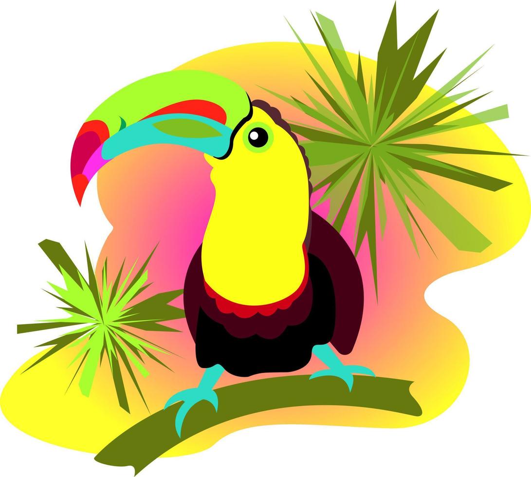 Toucan vector illustration, exotic tropical bird