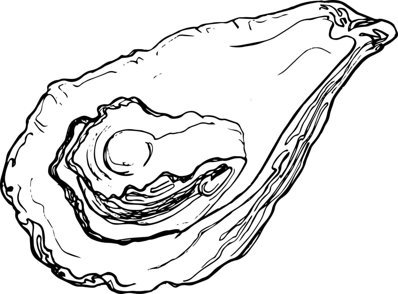 Sketch oyster on a white background vector