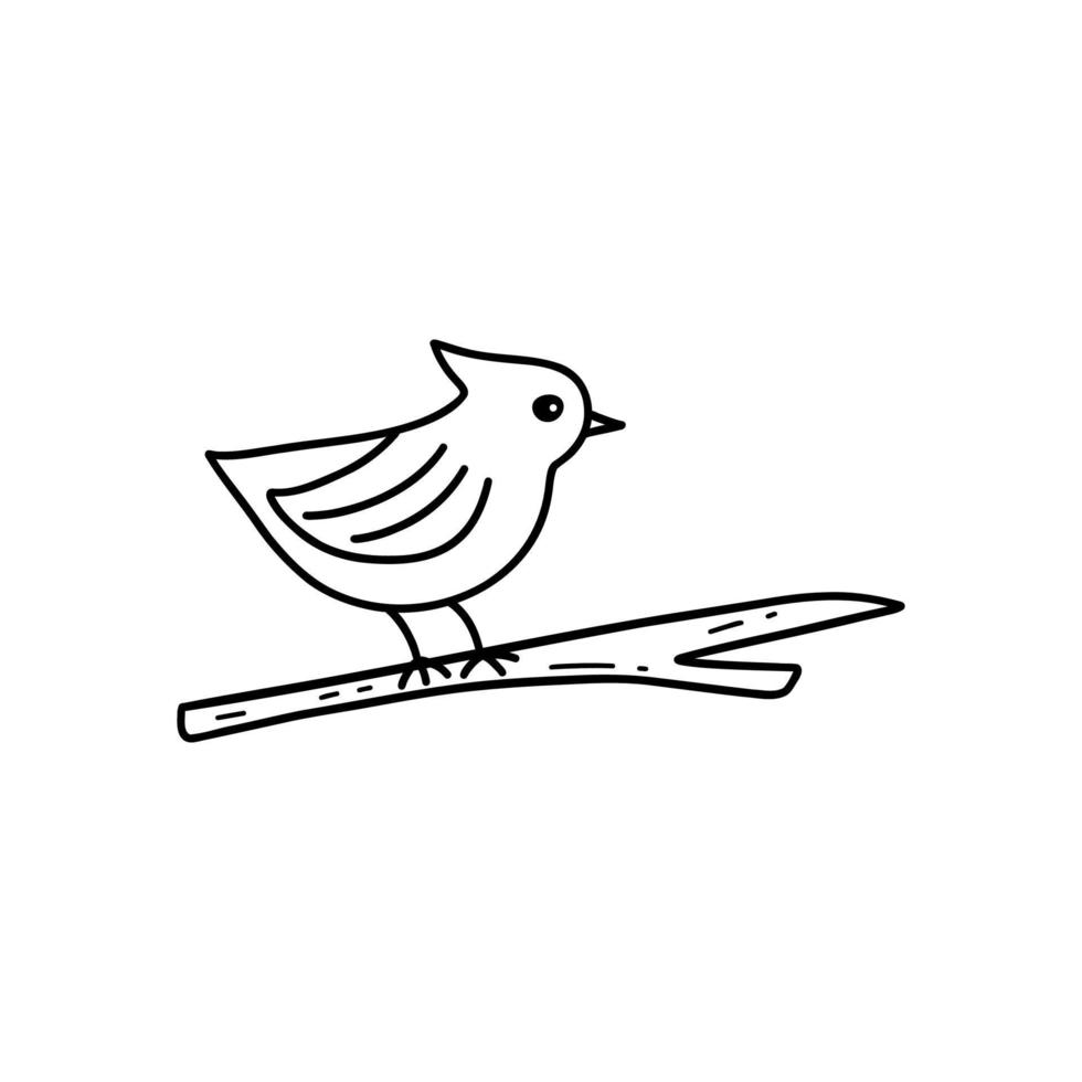 Cute bird is sitting on branch. Vector doodle