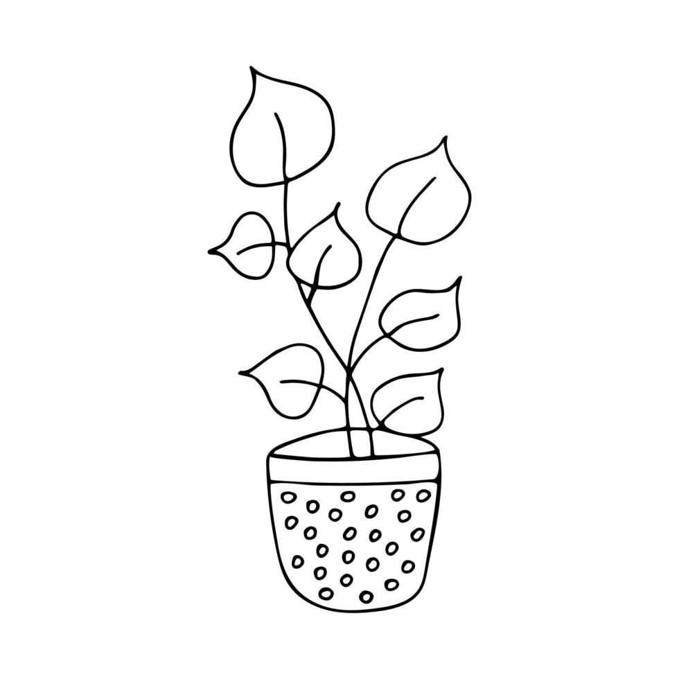 Potted plant, flower with large leaves doodle vector