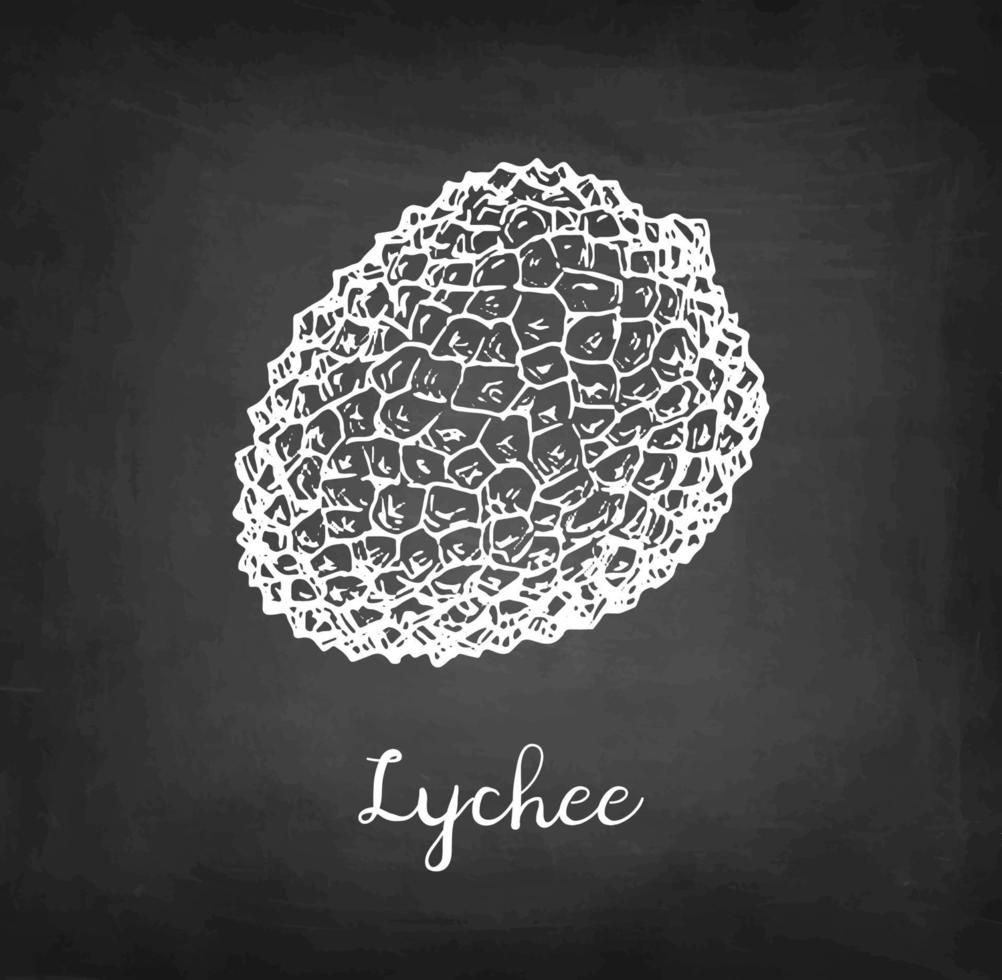 Lychee. Chalk sketch on blackboard background. Hand drawn vector illustration. Retro style.