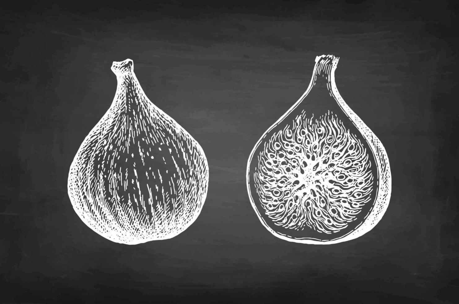 Figs. Whole fruit and half. Chalk sketch on blackboard background. Hand drawn vector illustration. Retro style.