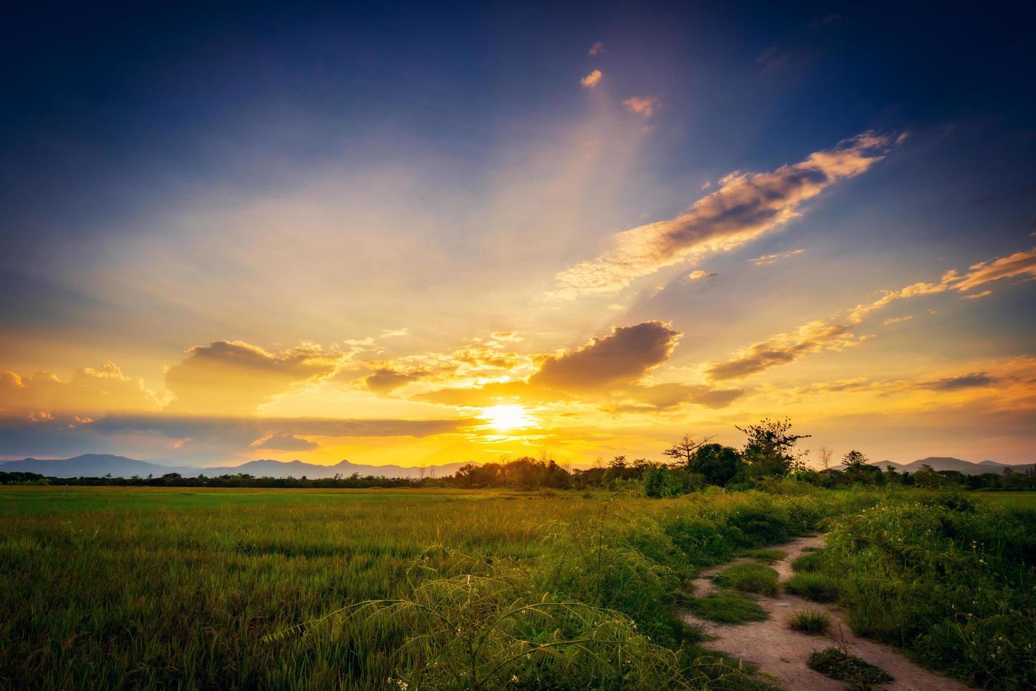 Landscapse of Field meadow and beautiful sunset photo