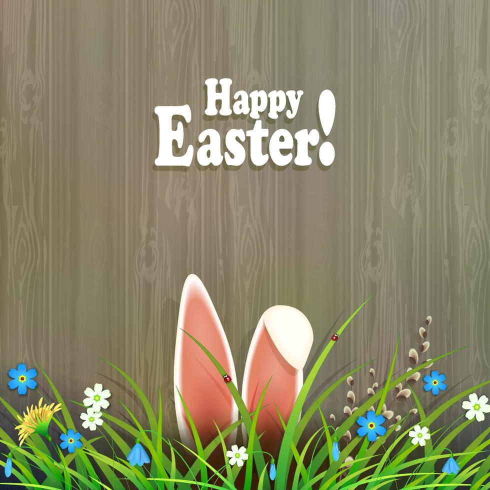 Easter composition with rabbit ears, grass, flowers and a willow twig, the silhouette of a light brown shade board. vector