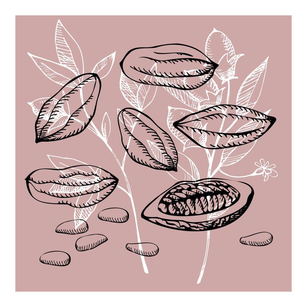 Cocoa set. Hand drawn cocoa bean vector, sketch of leaves and cocoa tree.Parts of plants. Organic product.Design element. Doodle  for cafe, shop, menu, cosmetics. For label, logo, emblem, symbol. vector