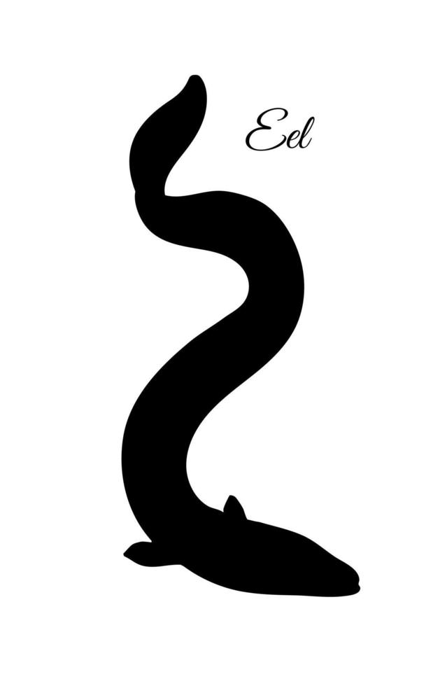 Japanese eel. Fish silhouette isolated on white background. vector