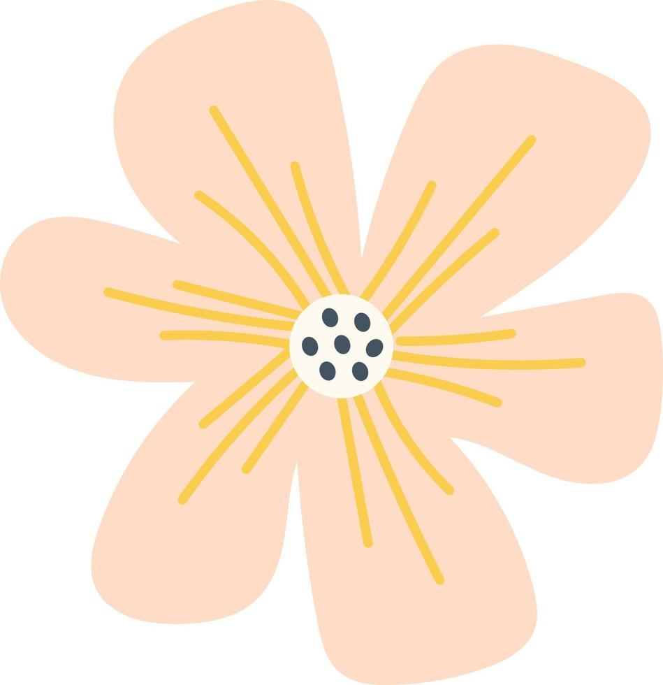 Soft spring flower illustration vector