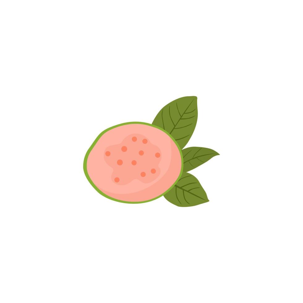 Pink fruit with green leaves and pink fruit on a white background. vector