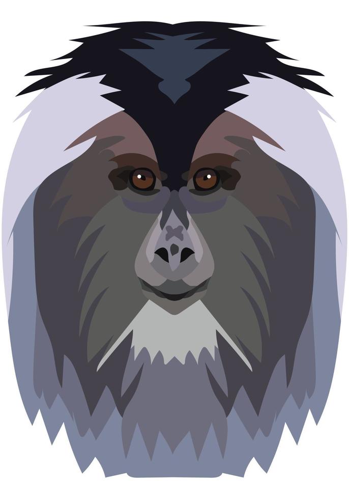 Lion-tailed macaque. The face of the monkey is depicted in vector style. A vivid image of a primate. Logo, illustration on a white background.