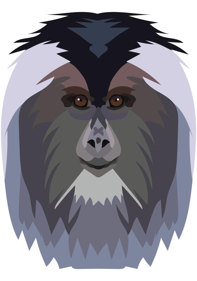 Lion-tailed macaque. The face of the monkey is depicted in vector style. A vivid image of a primate. Logo, illustration on a white background.