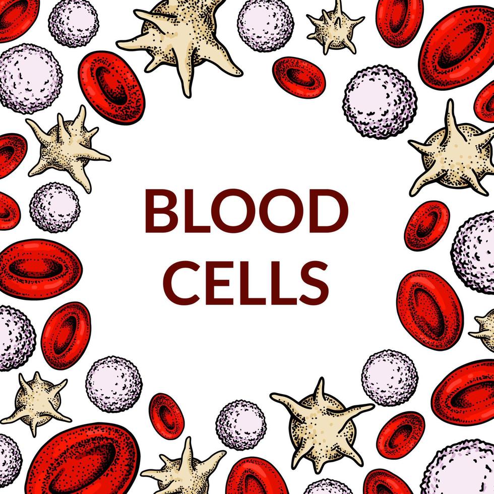 Blood cells background. Design for blood test, anemia, donation, hemophilia, laboratory scientific research concepts. Vector illustration in sketch style