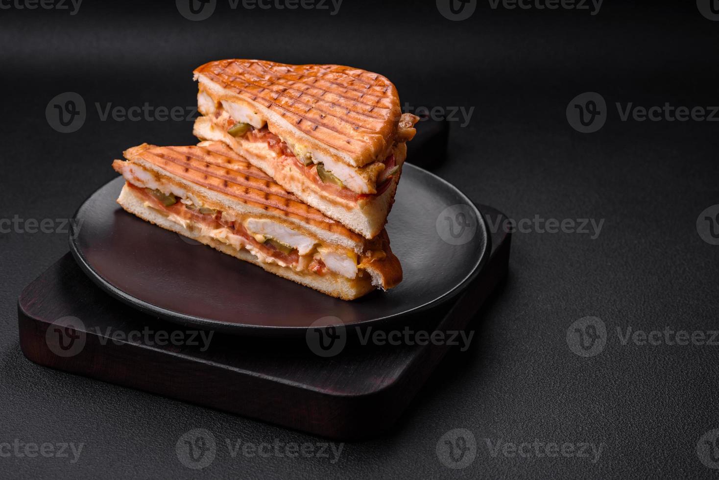 Delicious crispy sandwich with chicken breast, tomatoes, ketchup and spices photo