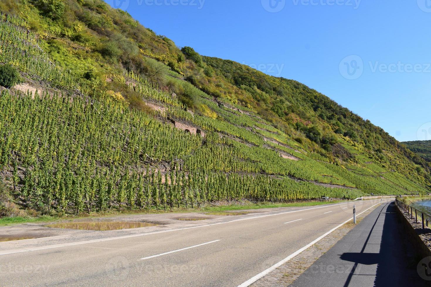 main road along green steep vineyard hills photo