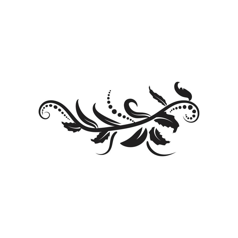 ornaments design, scroll elements, decorative vector frames and borders