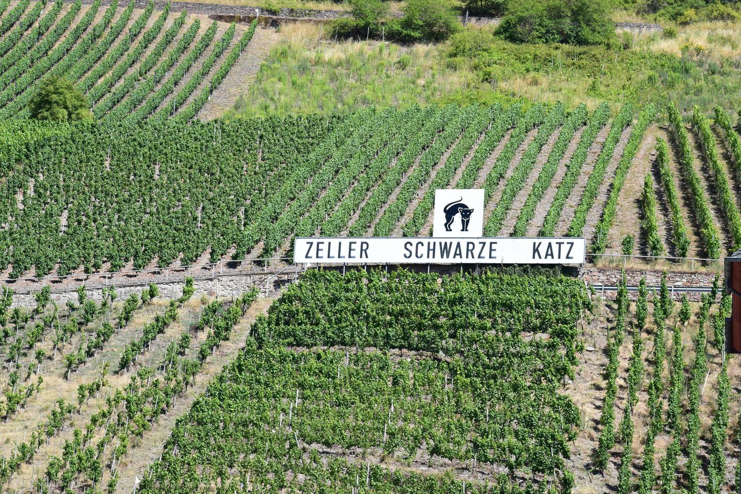 Zell an der Mosel, Germany, 2022 - Black cat vineyard with name sign photo