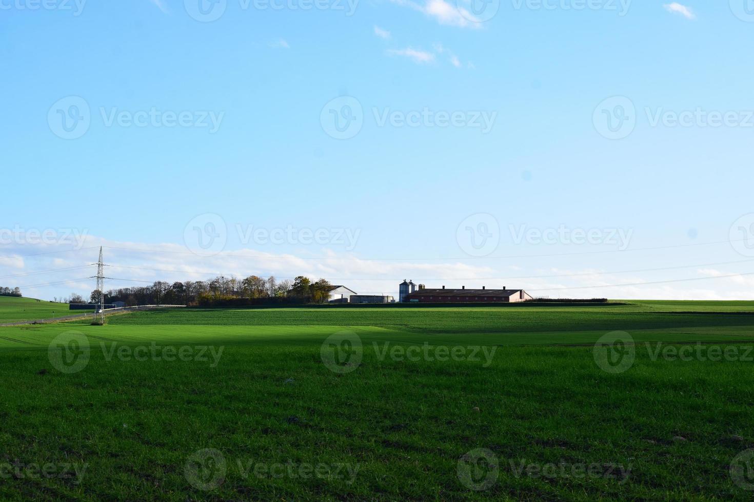 verde campos con un granja foto