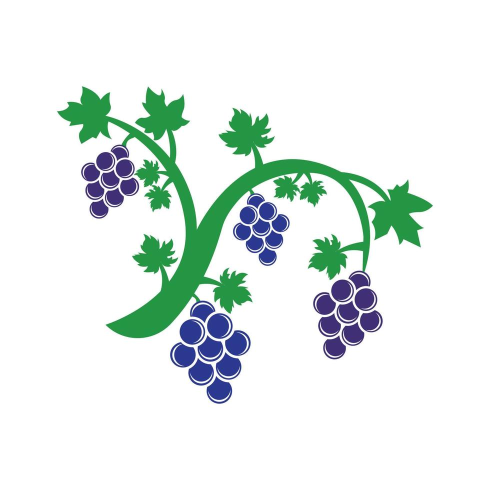 Grape icon vector illustration logo design