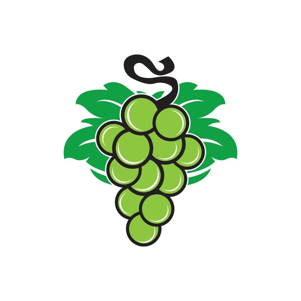 Grape icon vector illustration logo design