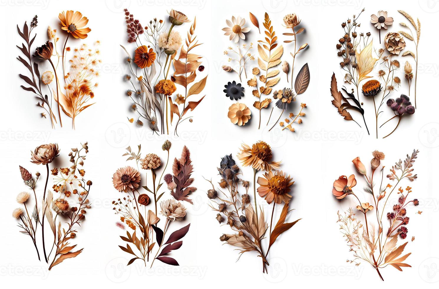 Dry flowers on white background, created with generative AI photo