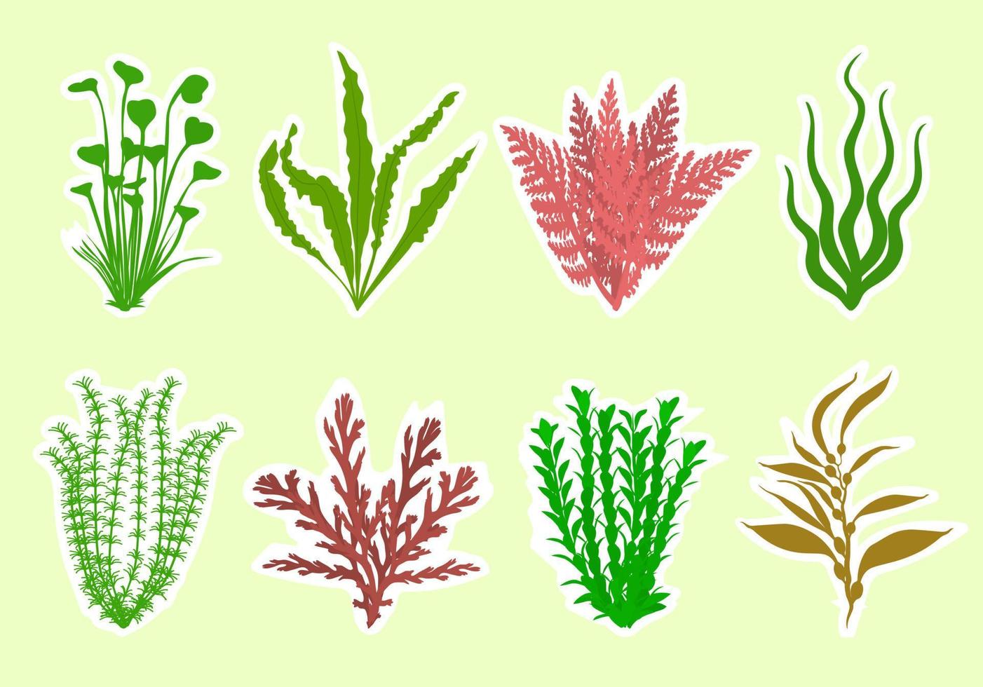 Cute aquarium plants set. Vector illustration